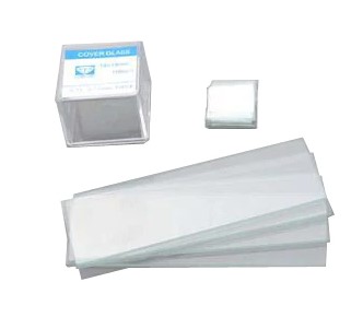 Glass Microscope Slides W/Cover Slips pkg.12