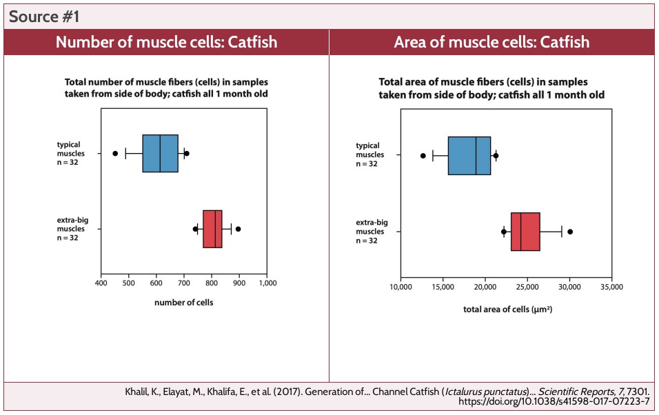 Lesson 2 Prints: Muscles Gallery Walk