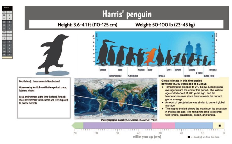 Lesson 3 Data Cards for Ancient Penguins Set