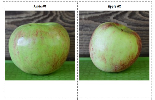Lesson 11 Cards: Apples