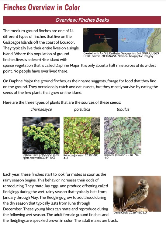 Lesson 7, Finches Overview