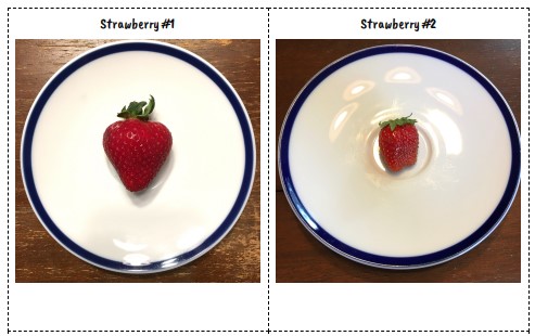 Lesson 11 Cards: Strawberries