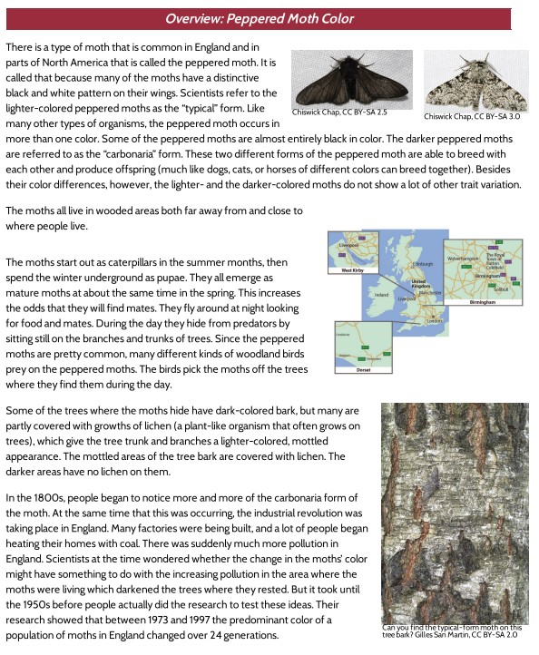 Lesson 7, Peppered Moth Overview