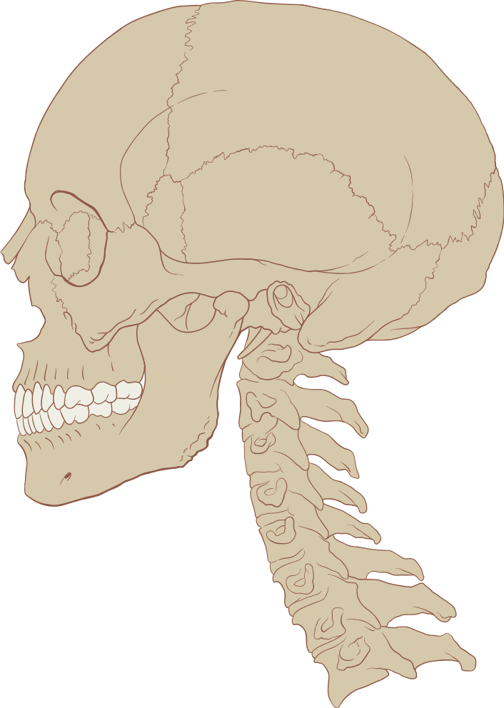 Atmore AL Same Day Back Pain Remedy