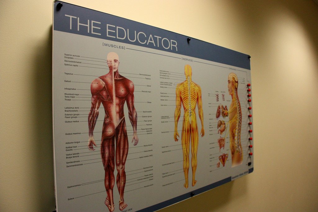 Best Back Pain Remedy Experts Atmore AL