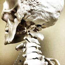 Atmore AL Quick Back Pain Natural Relief