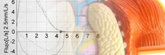 espirometria_small