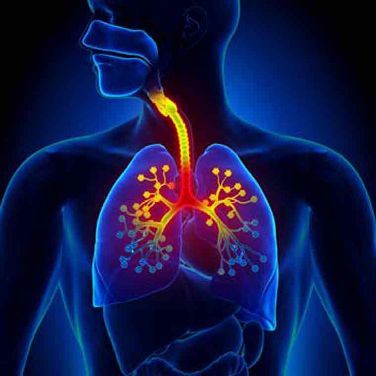 Difference between Upper Respiratory Tract Infection & Bronchitis