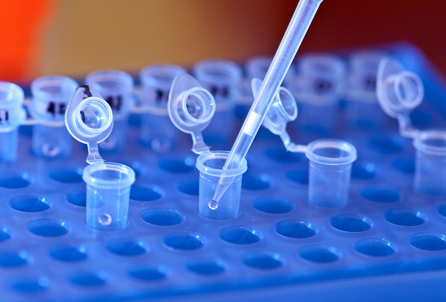 US researchers develop a universal vaccine platform