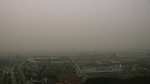 Delhi Air May Not Be Fit For Morning Walks; Herbs And Spices To Tackle Pollution