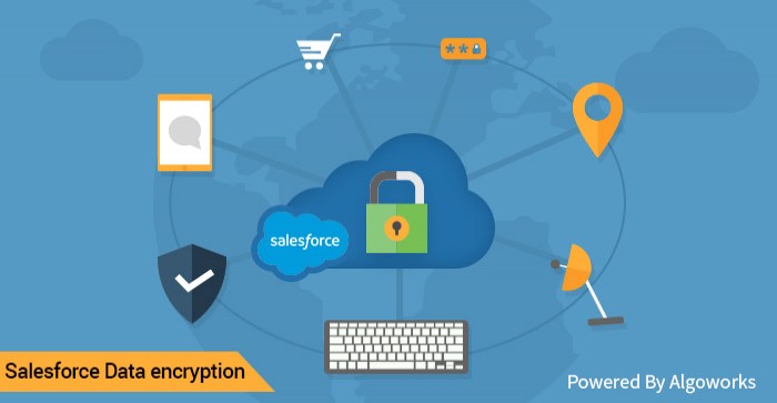 Salesforce Security – An Encryption Guide For The Paranoid
