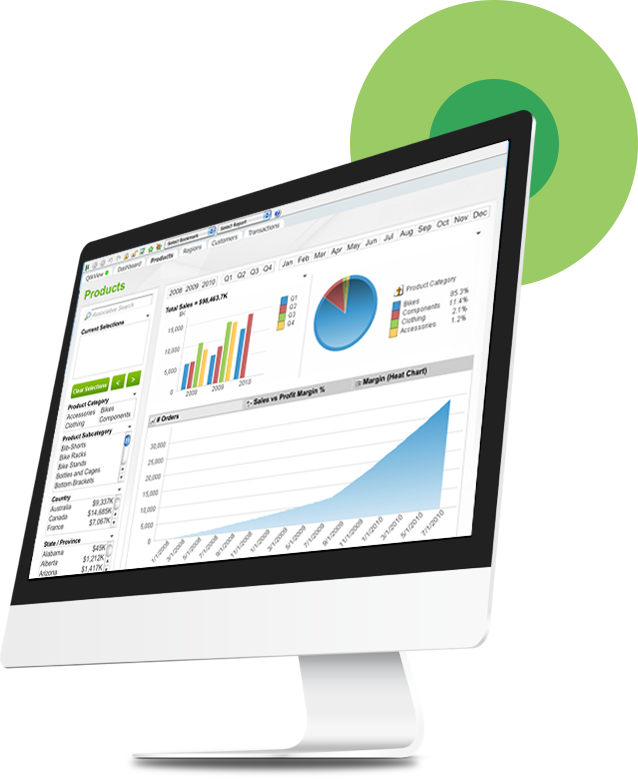 QlikView Business Intelligence Services
