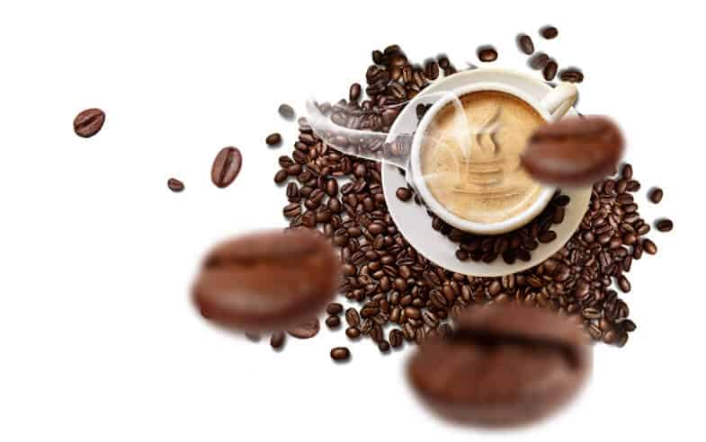 Java Web Development Services