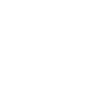 Government
