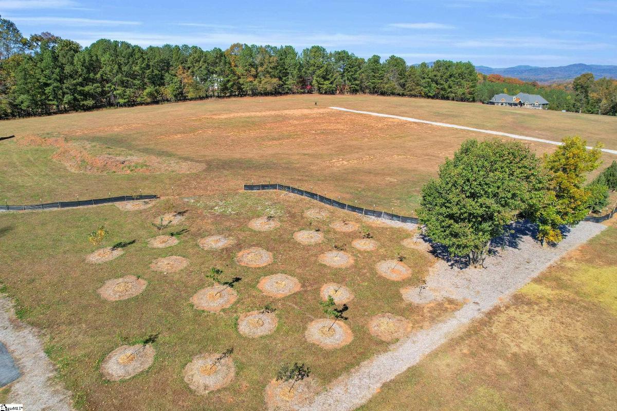 137 Dogwood Boulevard