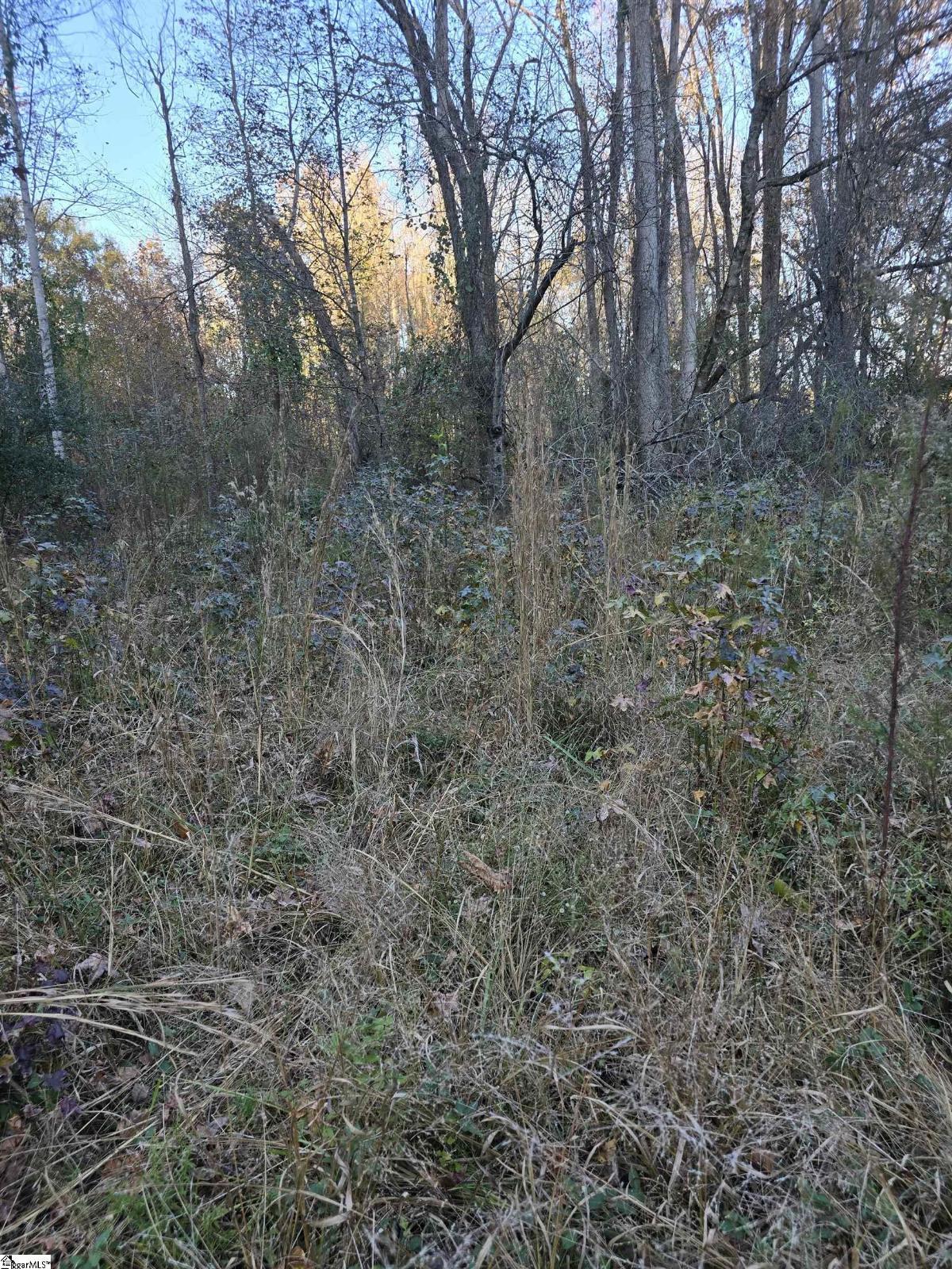 0 Graham Chapel Road