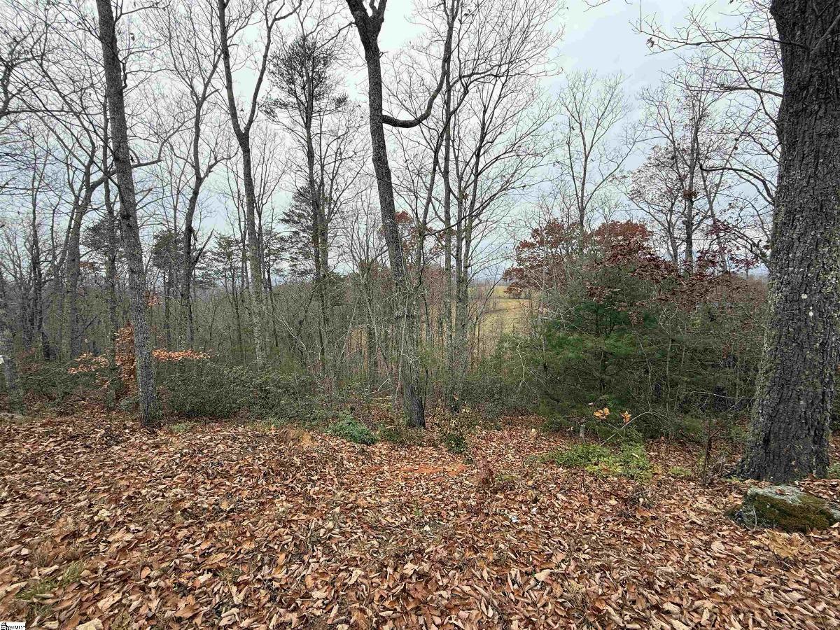 1130 Packs Mountain Ridge Road