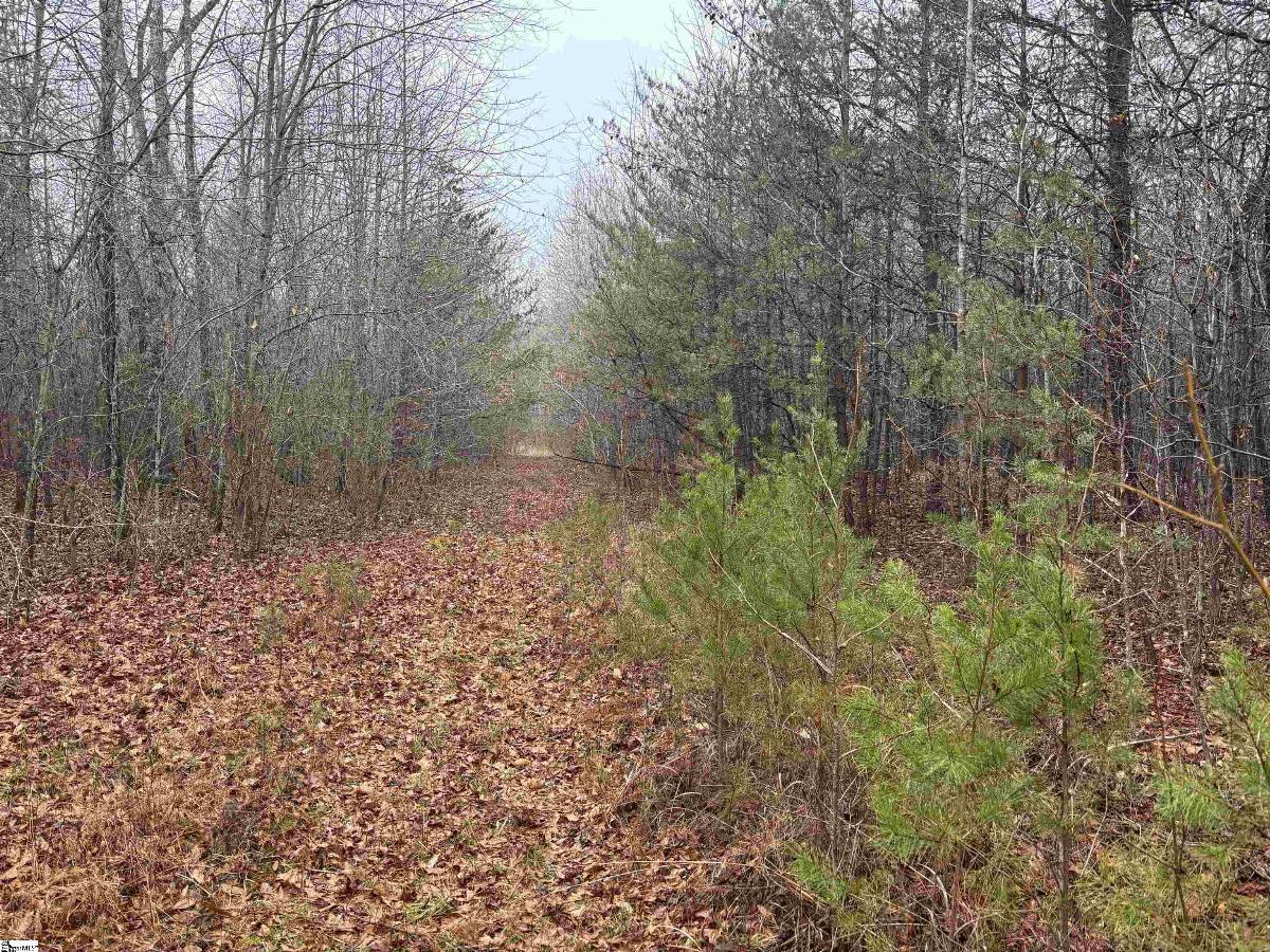 4024 Hwy 414 - Acreage not house