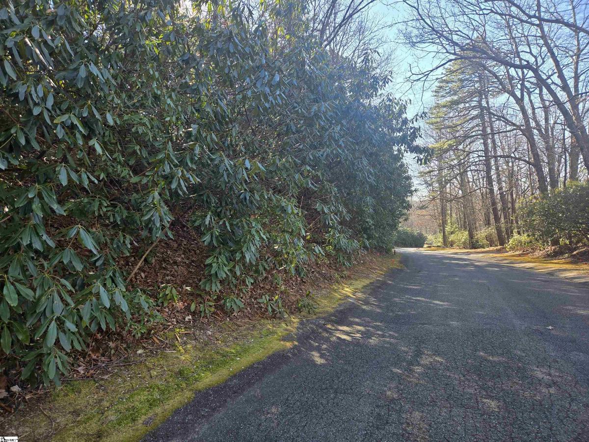 616 Cliff Ridge Drive
