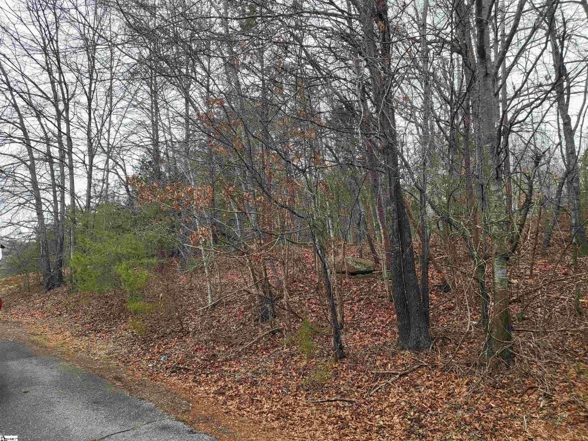 00 Campbell Covered Bridge Road