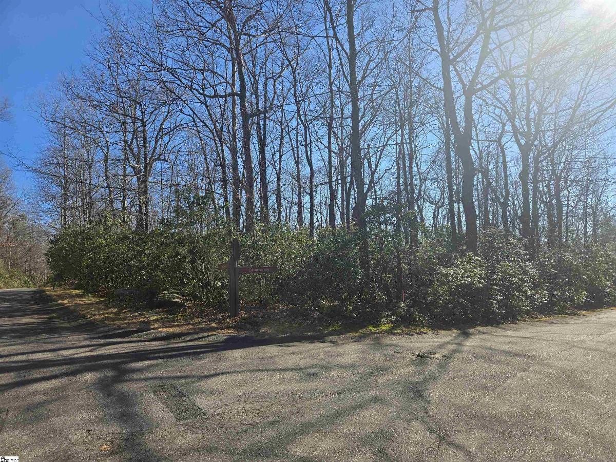 00 Birchbend