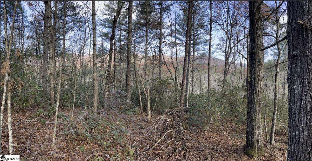 0000 Gap Creek Road