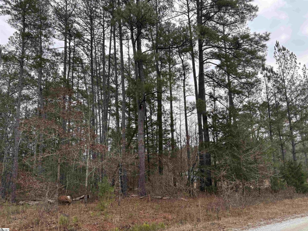 Lot 133 River Oaks Drive