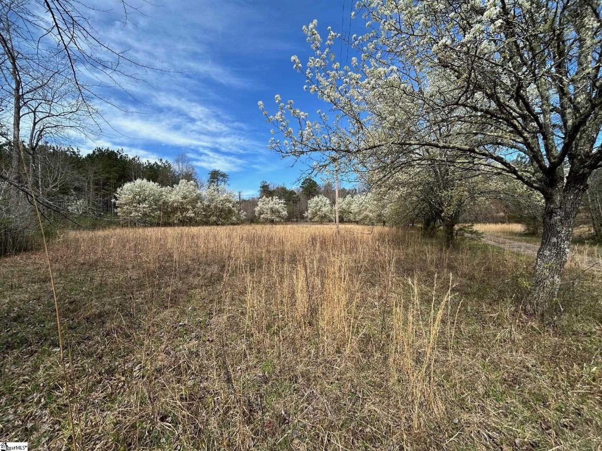 2144 Fox Squirrel Ridge Road