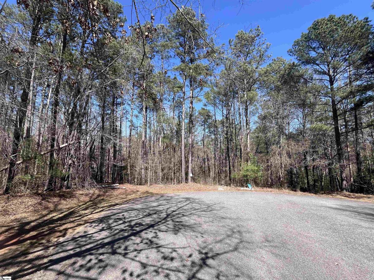 00 Golden Hickory Drive