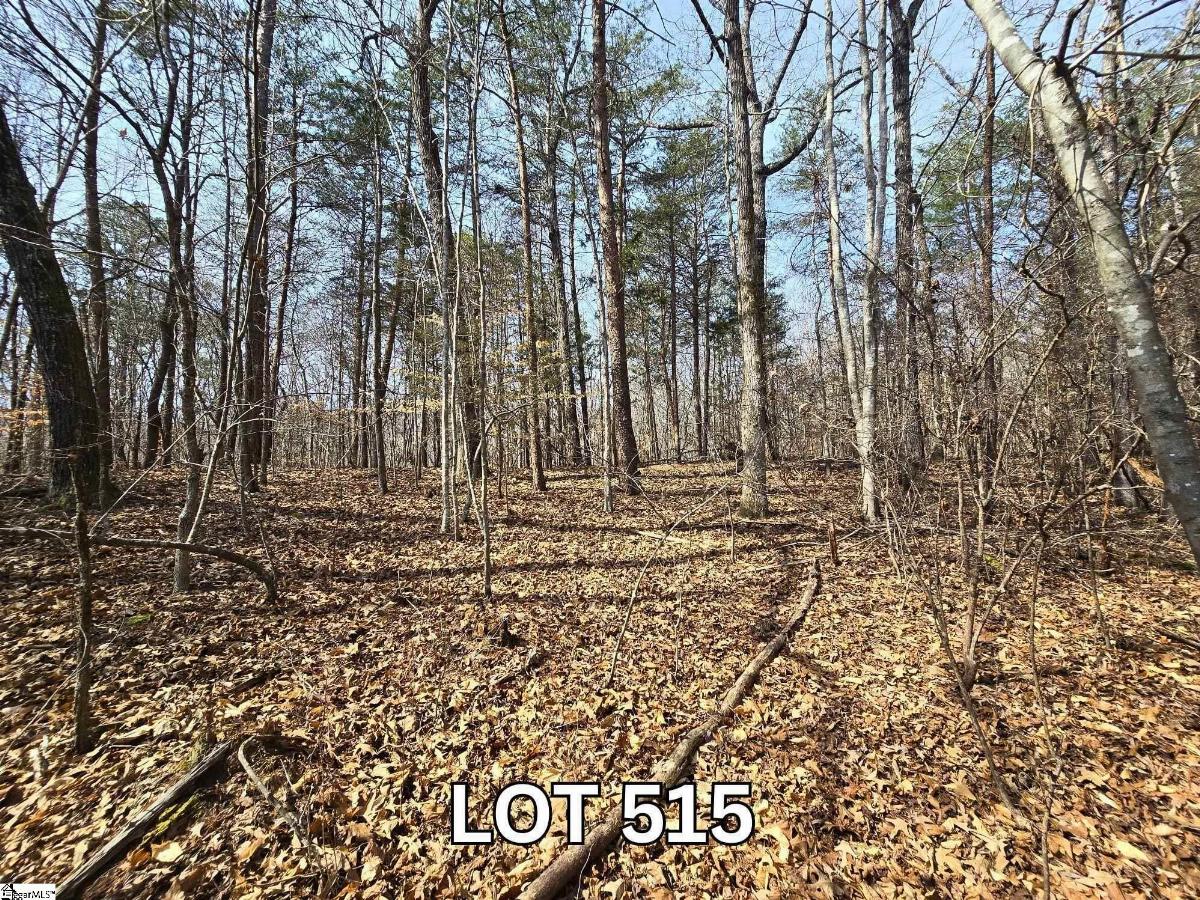 Lot 515 Point Road