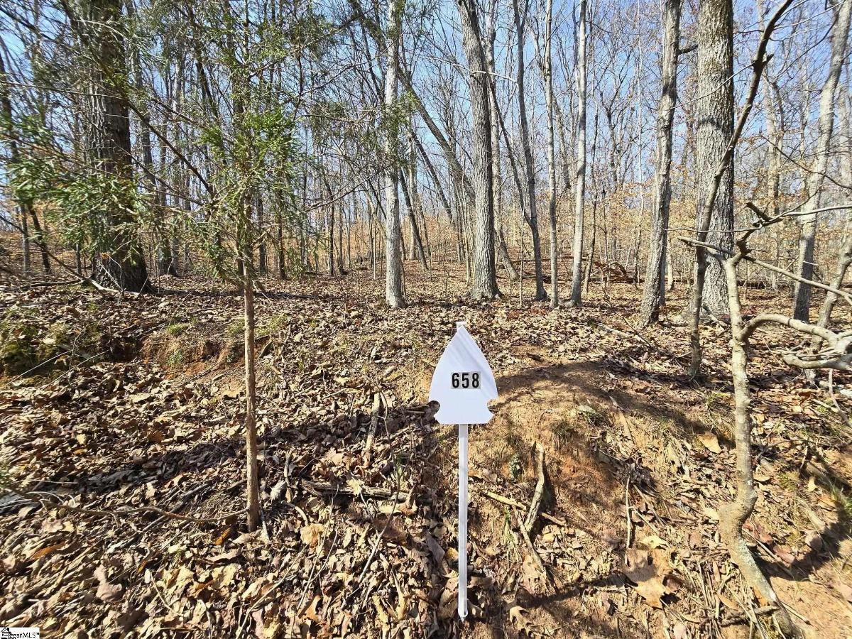 Lot 658 S Sundew Drive