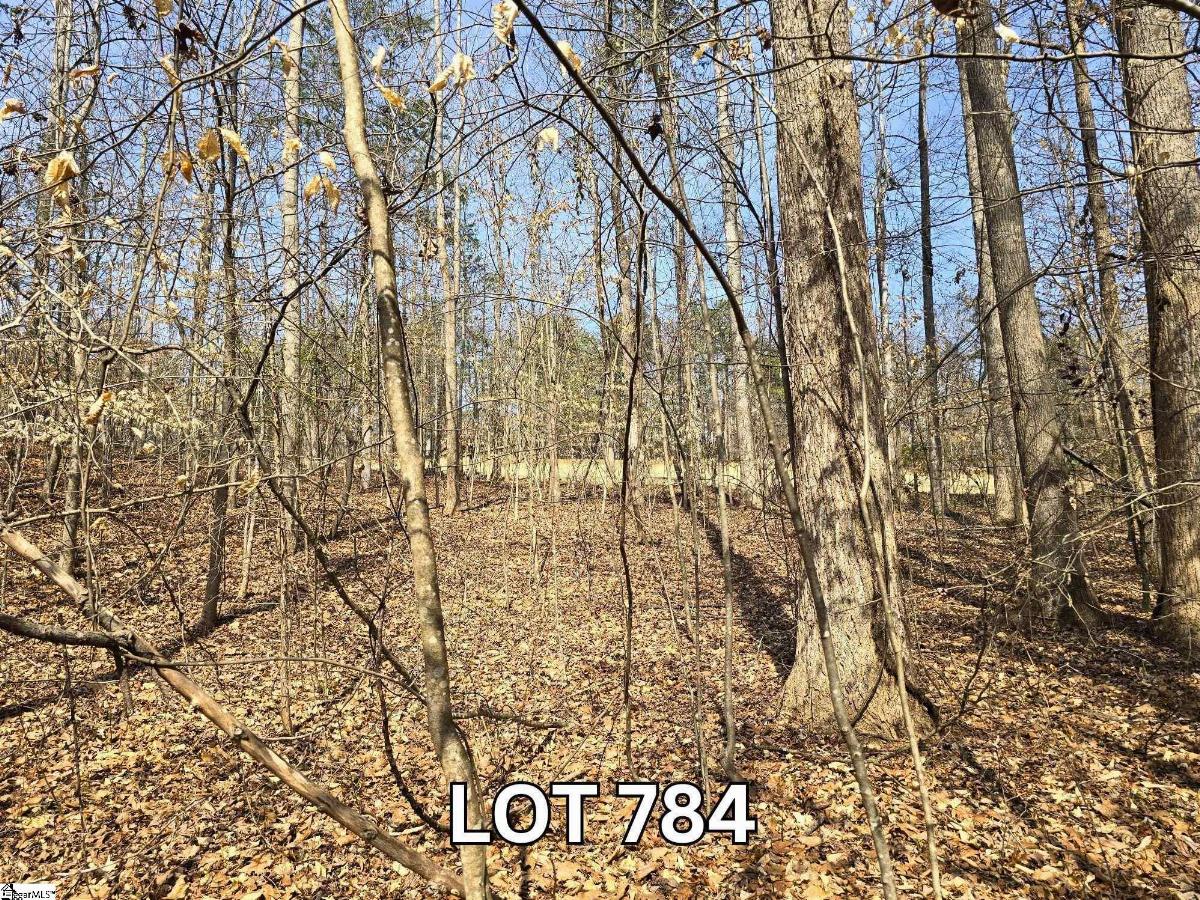 Lot 784 S Hogan Drive