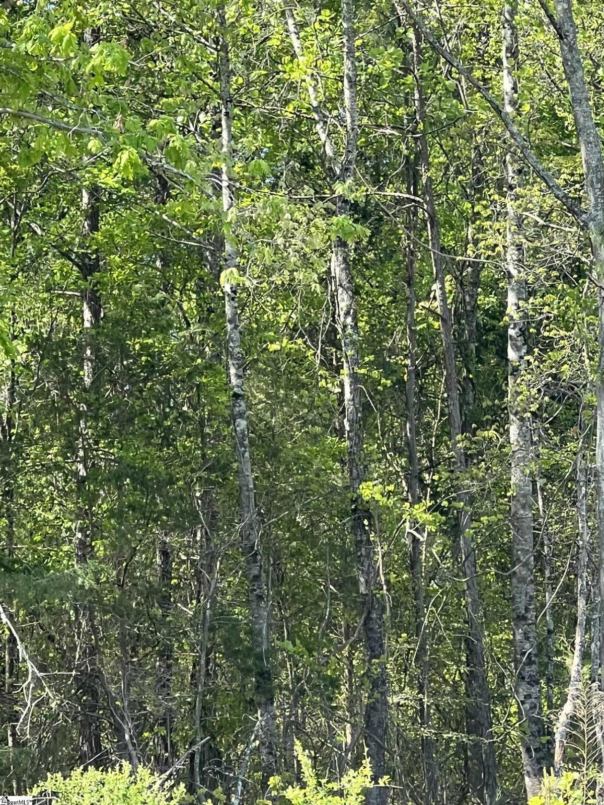 00 Woodfin Road
