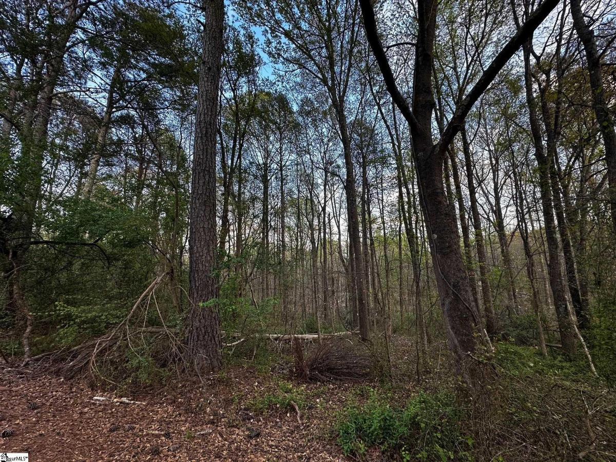 101 Sugarmill Lane
