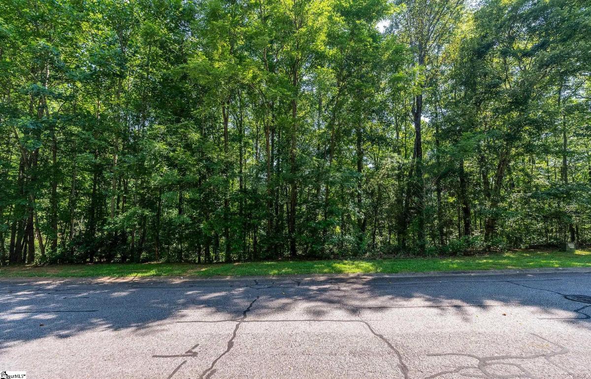 313 Laurel Valley Way