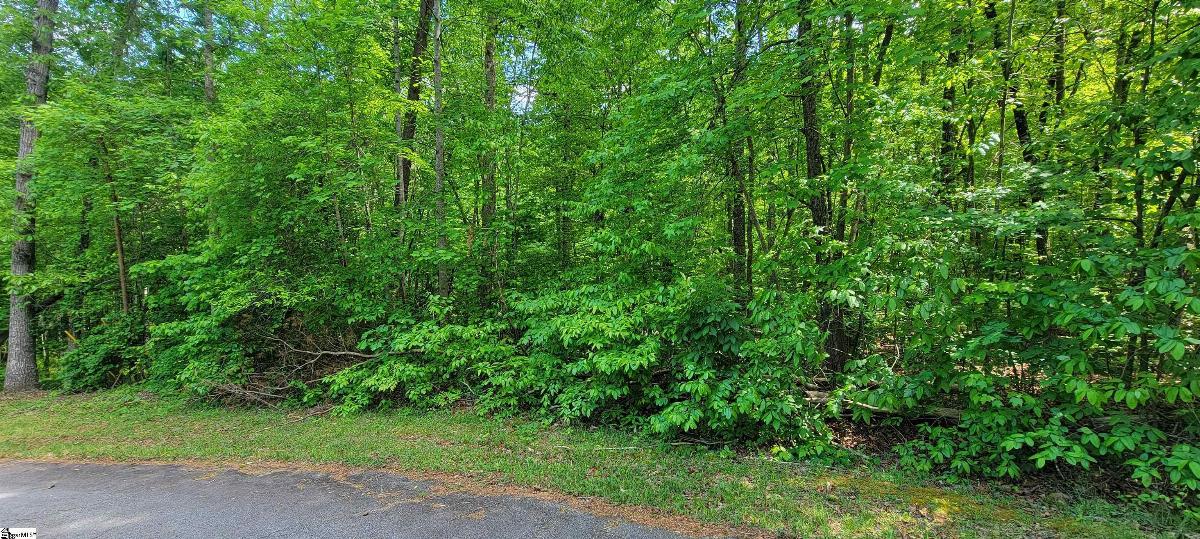 00 Lynden Loop
