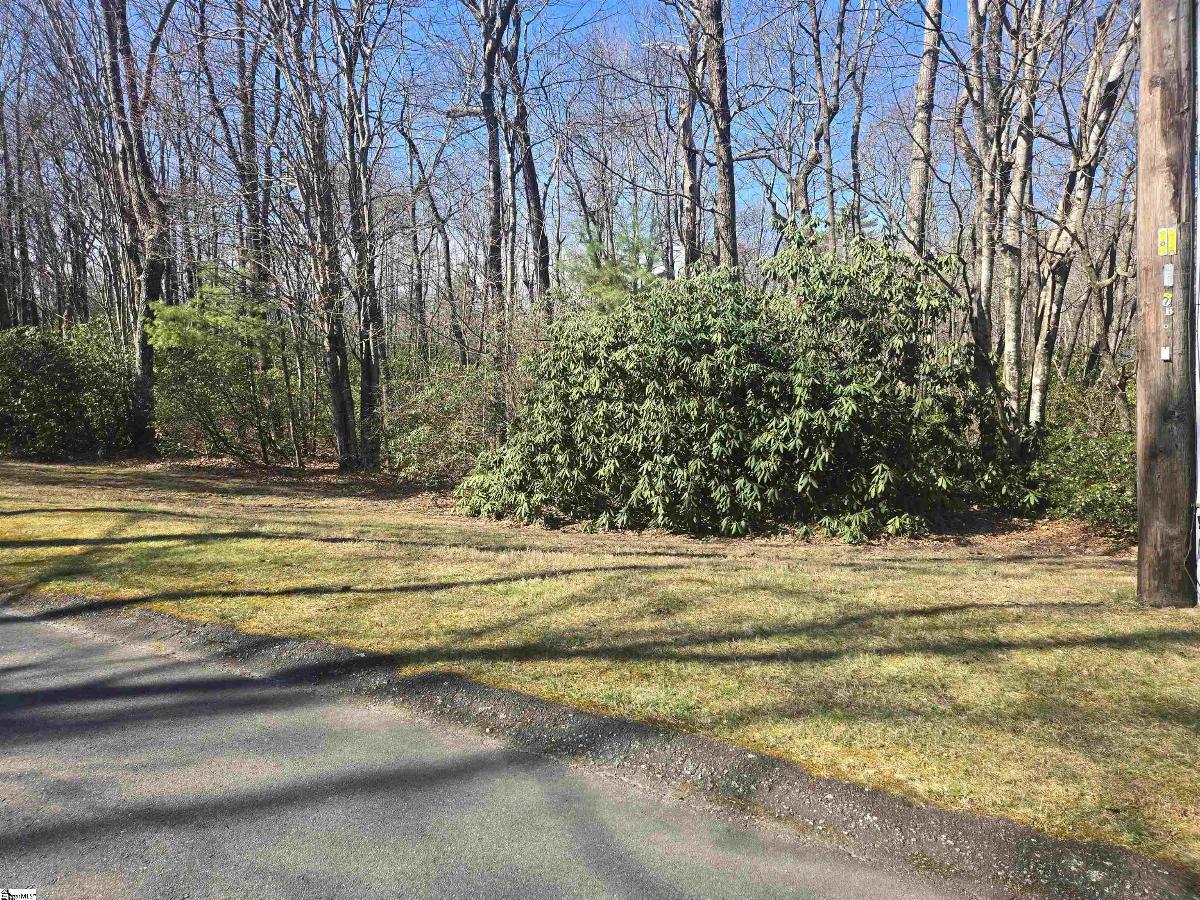 319 Cliff Ridge Drive