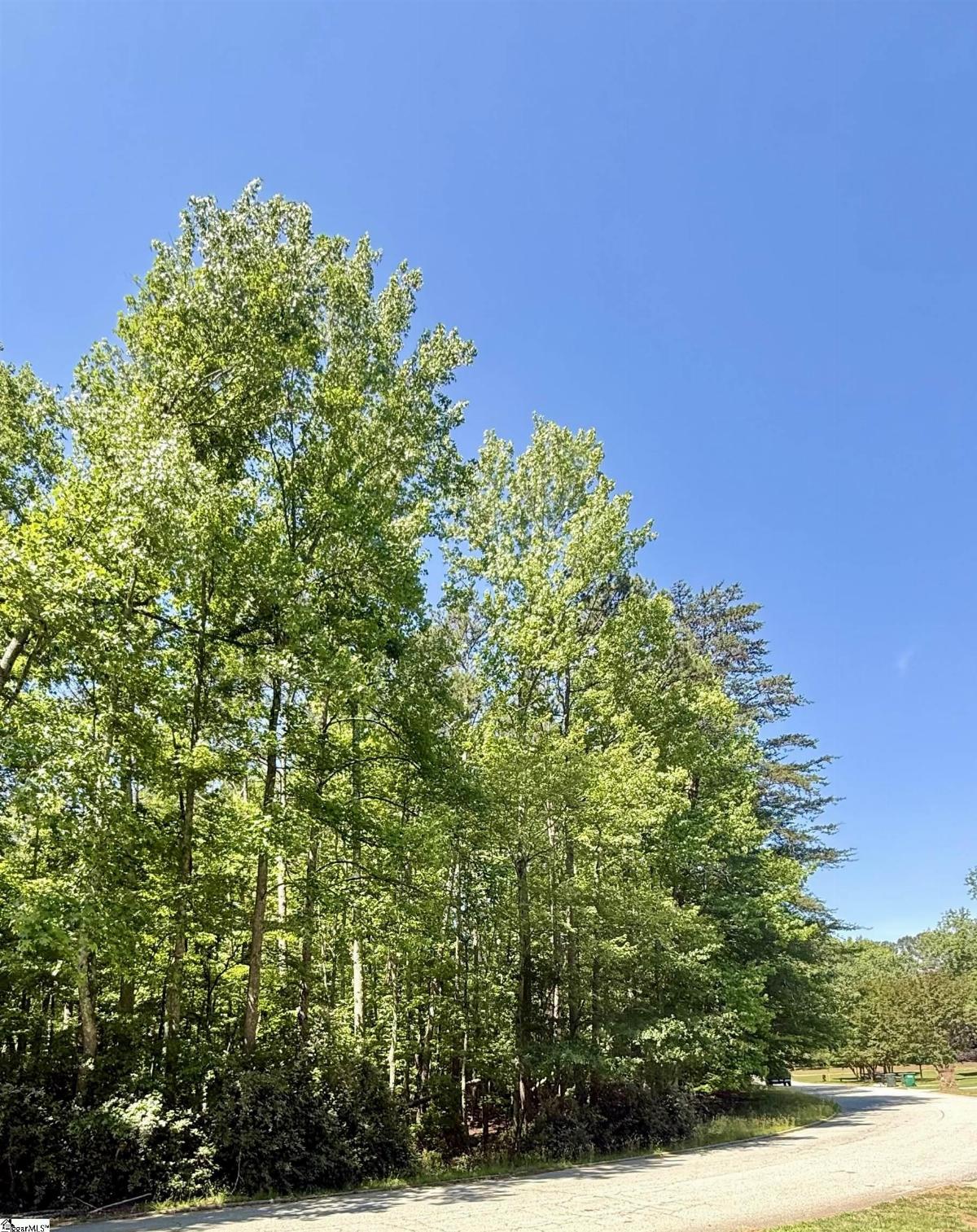 00 Woodwind Drive