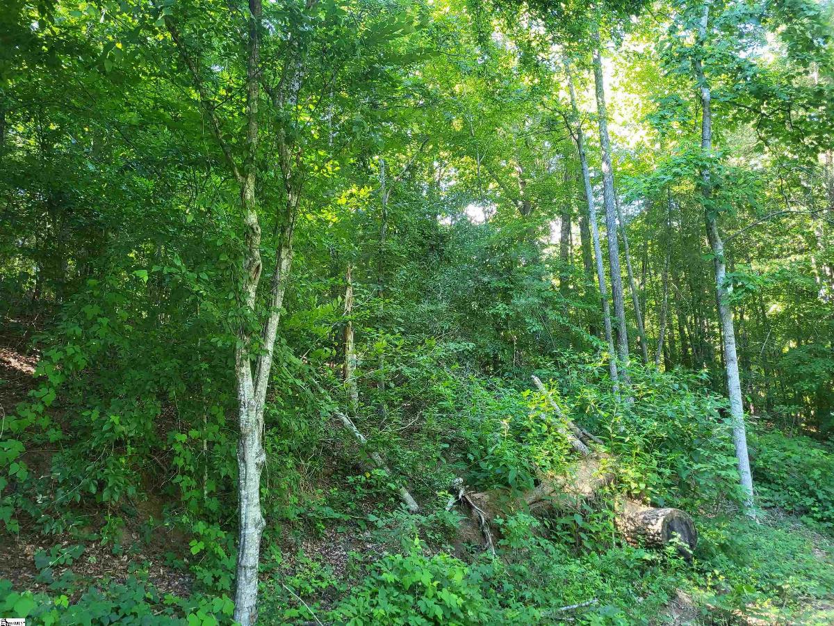 00 Hidden Valley Road