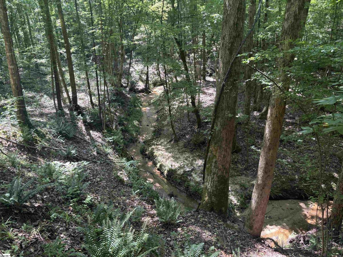 Old Calhoun Falls Road