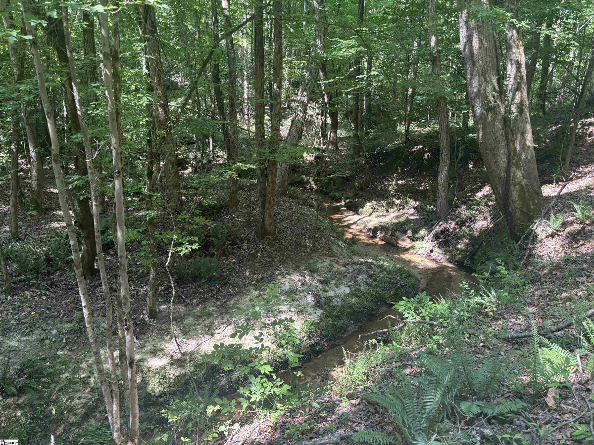 Old Calhoun Falls Road