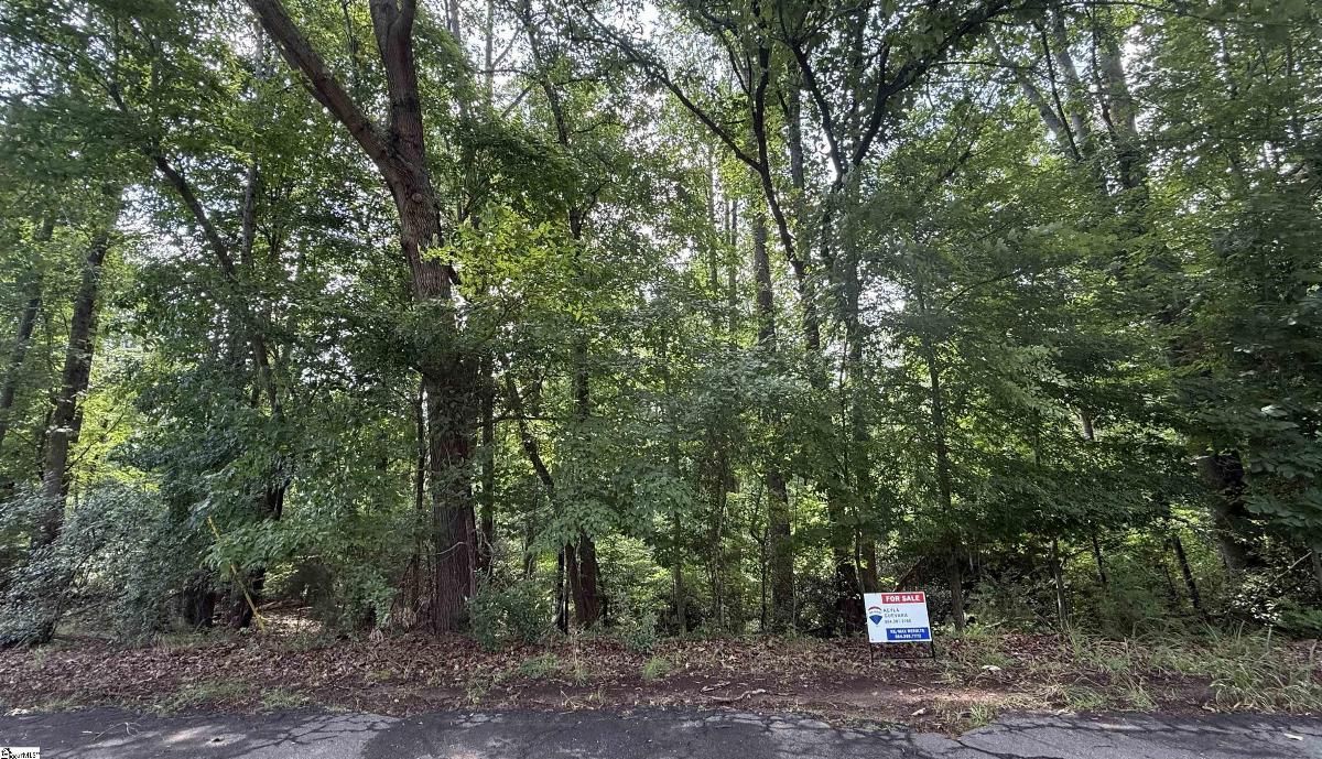 Lot 24 Mountain View Drive