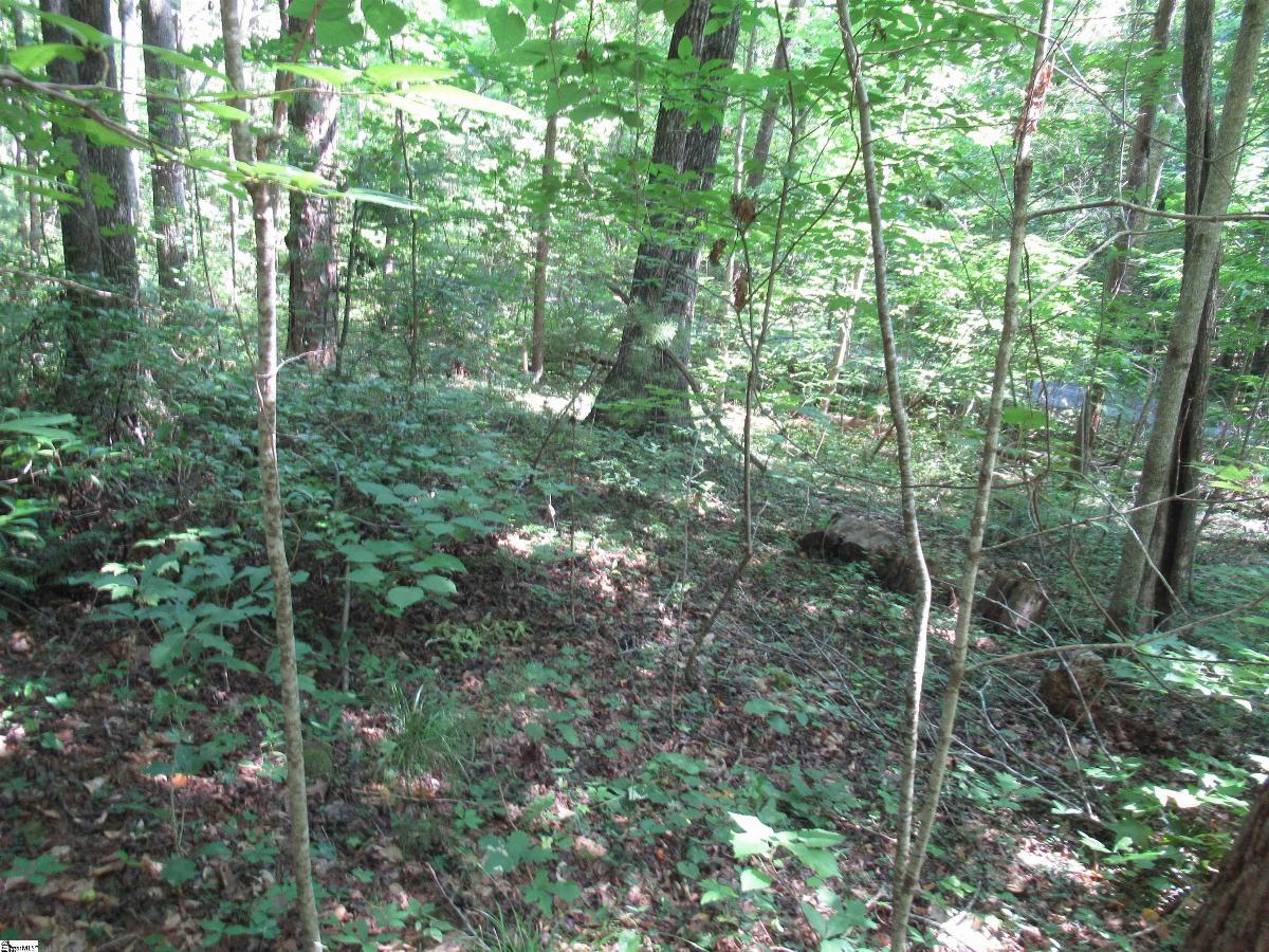 00 Gauley Falls Road