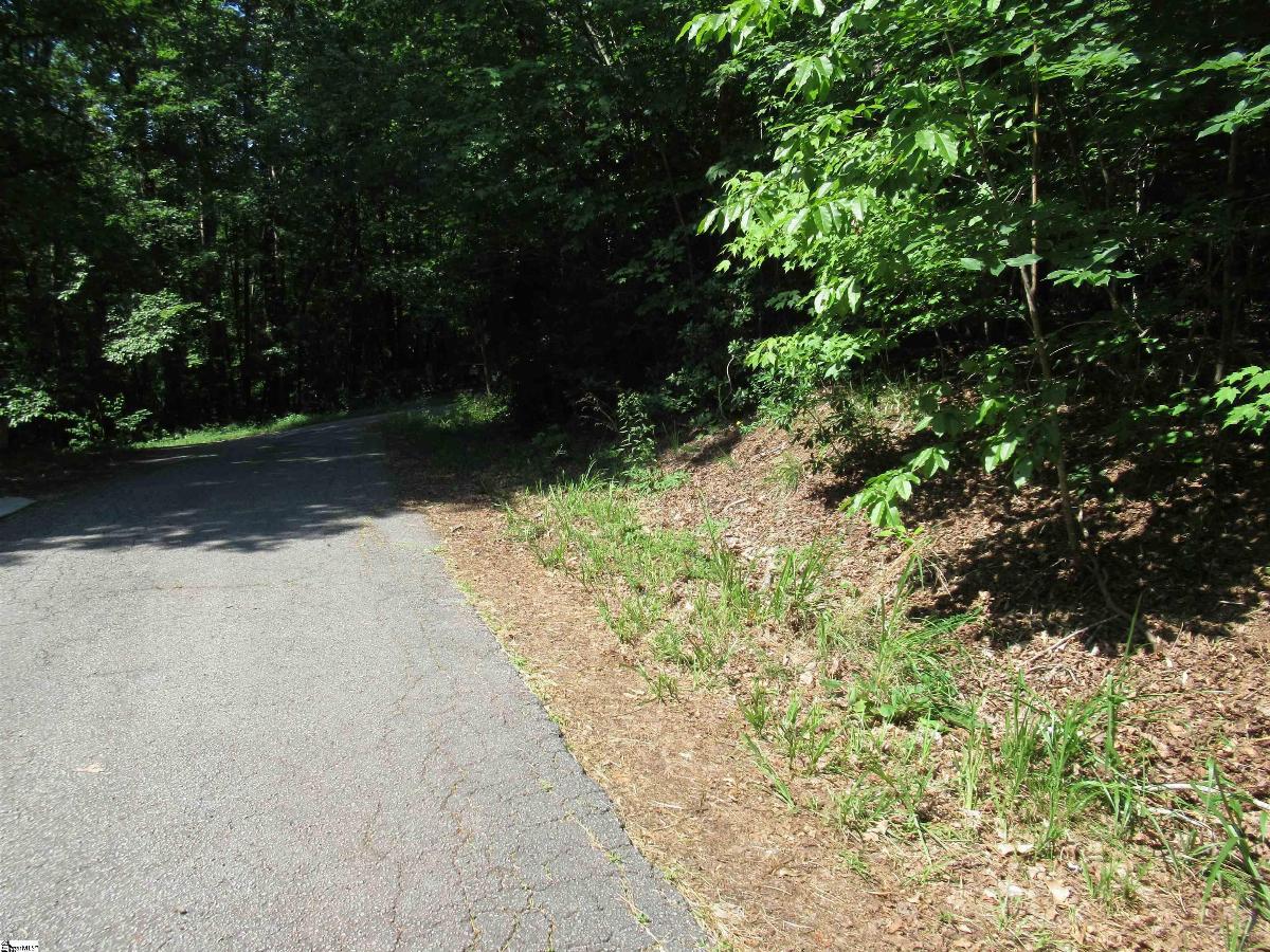 00 Gauley Falls Road