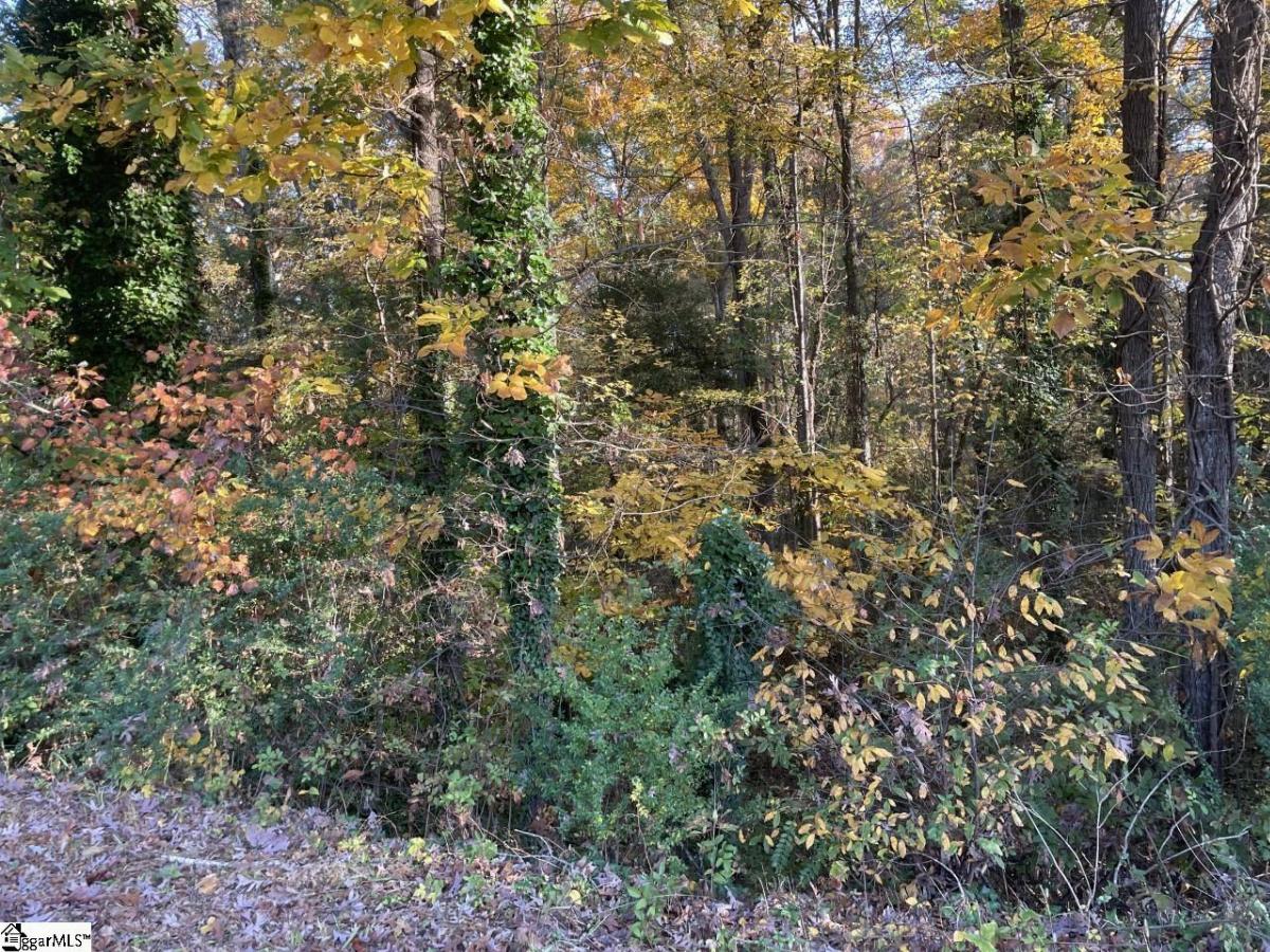 Brookforest Drive
