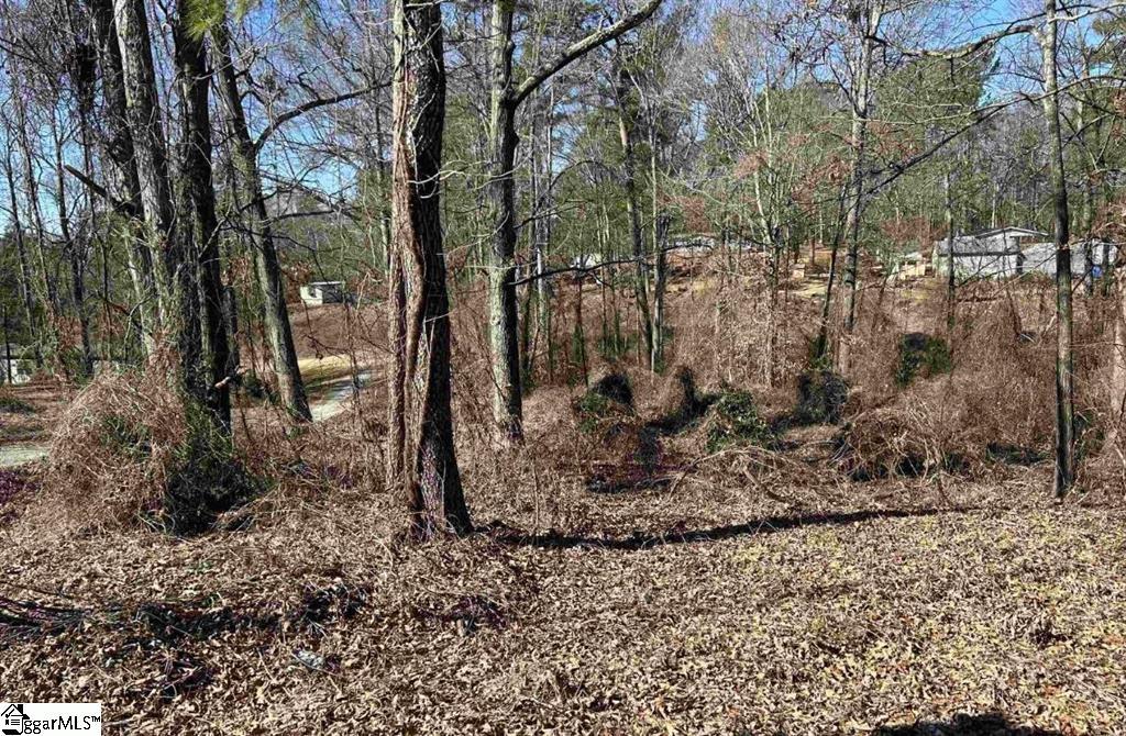 00 Wynette Way