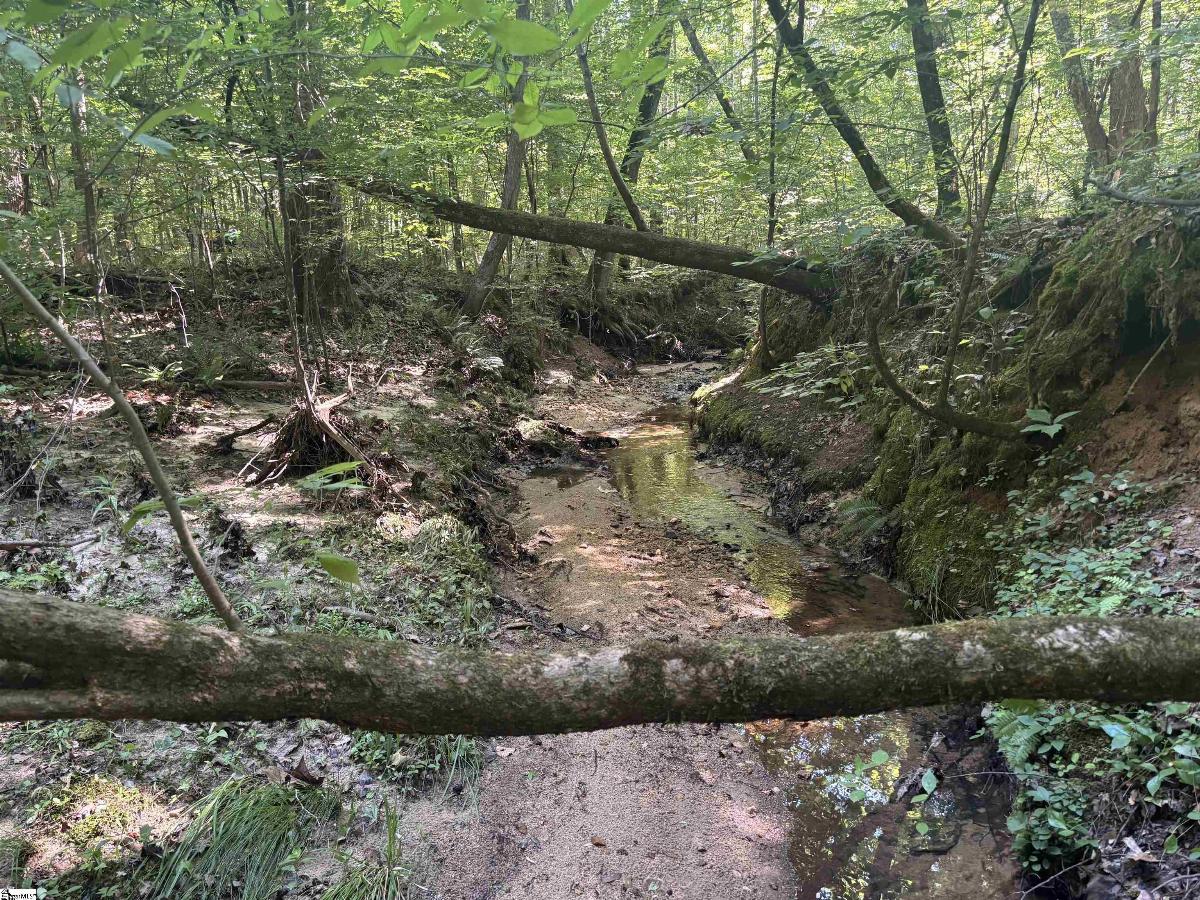 Old Calhoun Falls Road