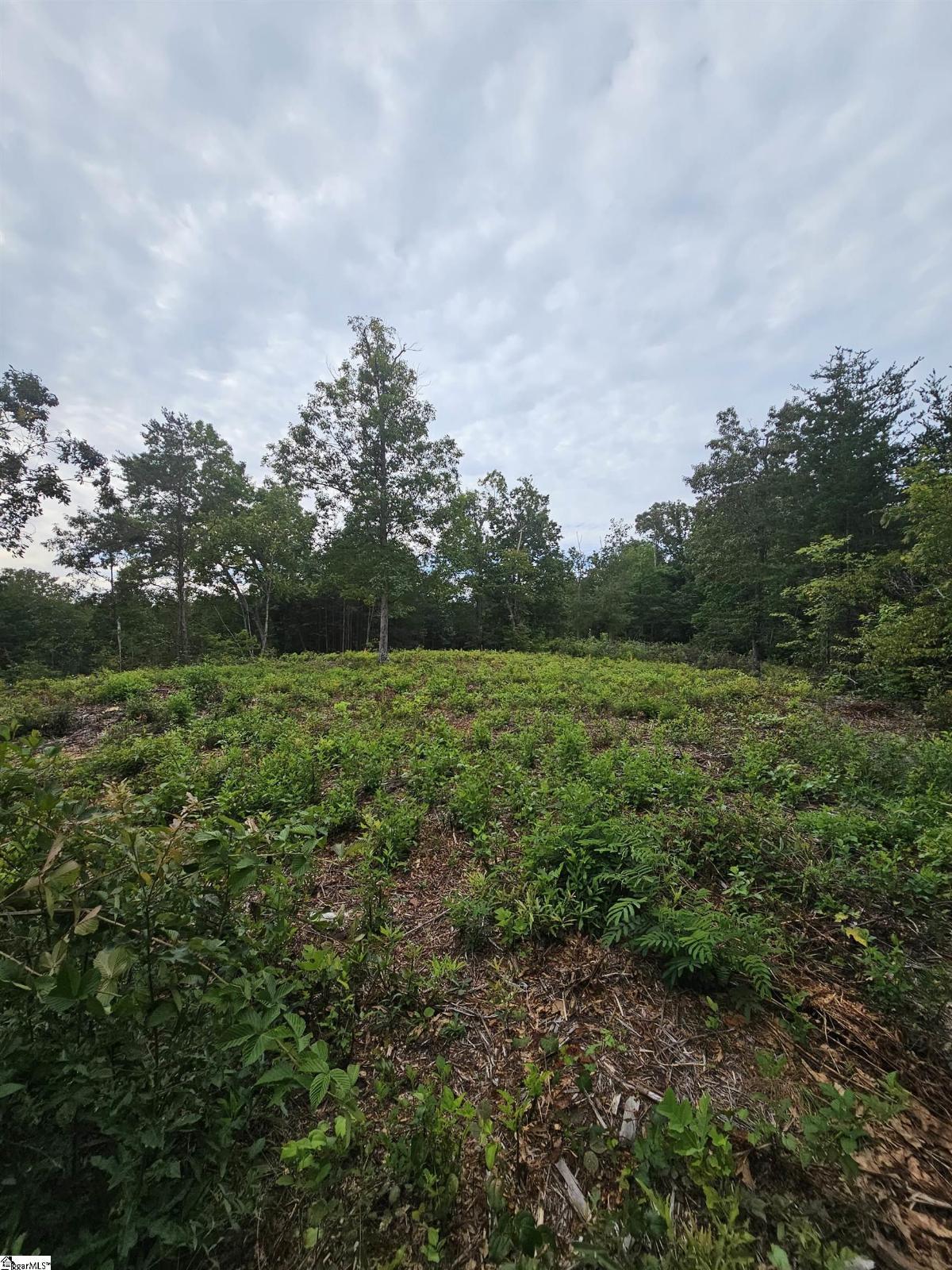 1138 Belue Mill Road