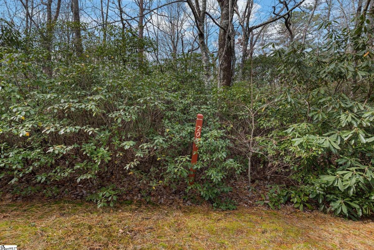204 Conifer Falls Road