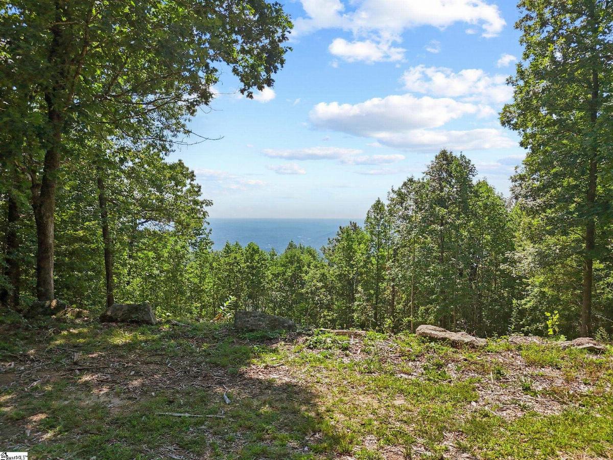 1394 Mountain Summit Road